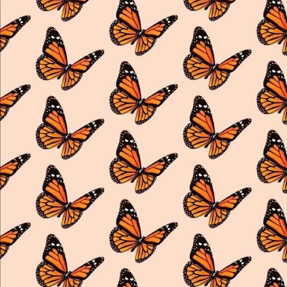 Meet your Posher, Addi - Picture 1 of 1